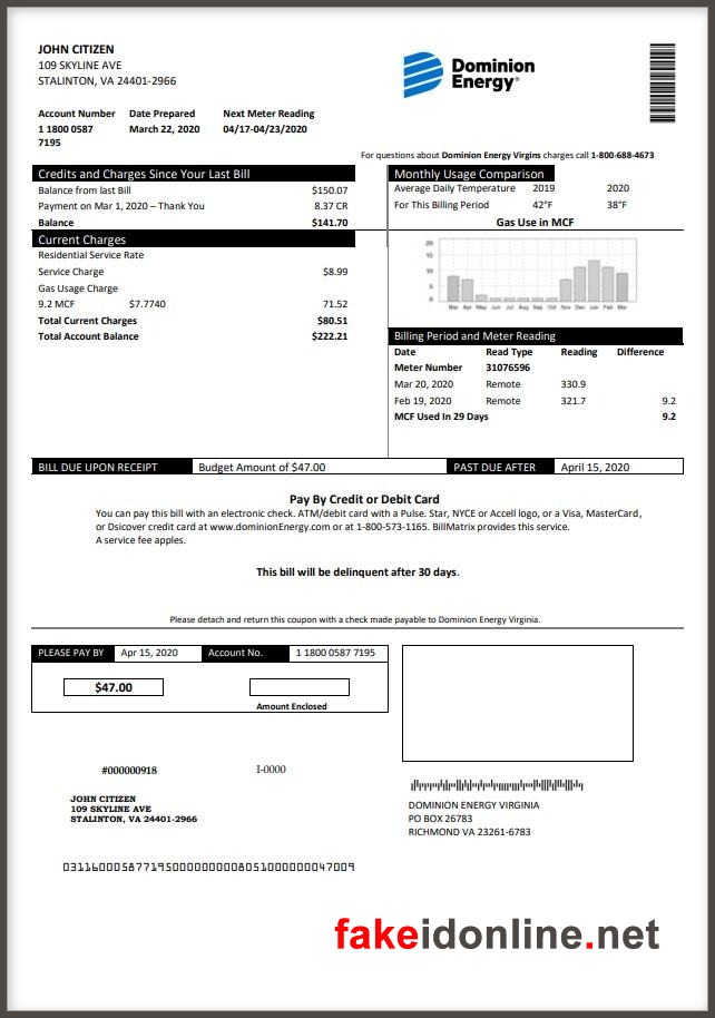 Dominion Energy Virginia - Virginia Utility Bill Template